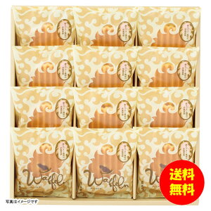 Mtg 蓰 @btF12 W-15HB y kCEEk ʓrZz [j Vzj Cj zj oYj j j jԂ Mtg oYj 