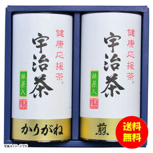 Mtg FliNj KOB-250 y kCEEk ʓrZz [j Vzj Cj zj oYj j j jԂ Mtg oYj