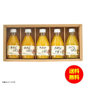 Mtg ɓ_ 100%sAW[X5{MtgZbg 50705g-2 y kCEEk ʓrZz [j Vzj Cj zj oYj j j jԂ