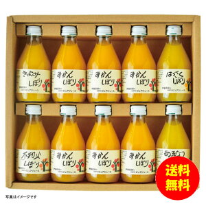 Mtg ɓ_ 100%sAW[X10{MtgZbg 50710G y kCEEk ʓrZz [j Vzj Cj zj oYj j j jԂ 