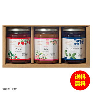 Mtg ͔| XvbhZbg CN-3J y kCEEk ʓrZz [j Vzj Cj zj oYj j j jԂ Mtg oYj 