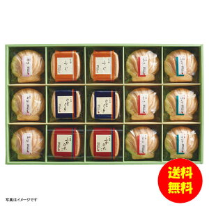 Mtg vEq {ia zl ZGM50 y kCEEk ʓrZz [j Vzj Cj zj oYj j j jԂ Mtg 