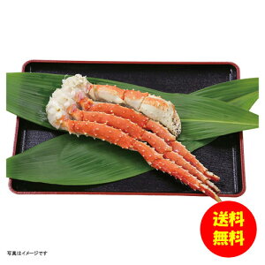 Mtg ^oIr1 K910001 y kCEEk ʓrZz [j Vzj Cj zj oYj j j jԂ Mtg oYj Ԃ 