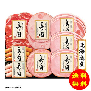 Ε {n kC v~A mMtgZ bg UKH-48 y①z y kCEEk ʓrZz [Ε Ε Mtg 蕨 v[g  Ԃ ]