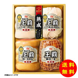 Ε ۑHi enMtg4{l HA-104 y①z y kCEEk ʓrZz [Ε Ε Mtg 蕨 v[g  Ԃ ]