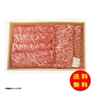 Ε ꋍ [XĂ yⓀz yz y kCEEk ʓrZz [Ε Ε Mtg 蕨 v[g  Ԃ ]