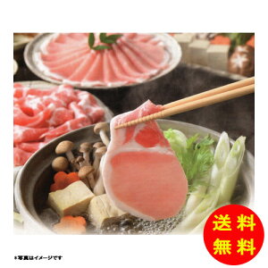 Ε ؂ԂԃZbg(3) B853 yⓀz yz y kCEEk ʓrZz [Ε Ε Mtg 蕨 v[g  Ԃ ]