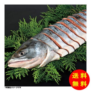 Ε Hpg؂g yⓀz yz y kCEEk ʓrZz [Ε Ε Mtg 蕨 v[g  Ԃ ]