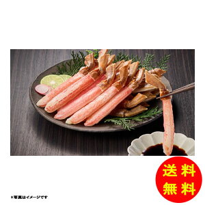 Ε YC_|[ViHpj 11782703 yⓀz yz y kCEEk ʓrZz [Ε Ε Mtg 蕨 v[g  Ԃ ]