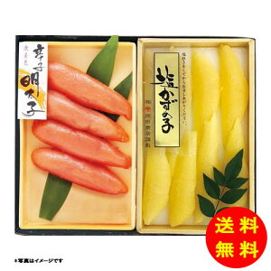 Ε hqqƉ̎ql KA-50 y①z yz y kCEEk ʓrZz [Ε Ε Mtg 蕨 v[g  Ԃ ]