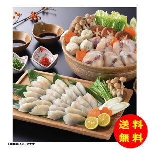 Ε u vӂ ԓZbg OT-300 yⓀz yz y kCEEk ʓrZz [Ε Ε Mtg 蕨 v[g  Ԃ ]