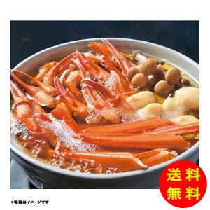 Ε g킢ɓZbg yⓀz yz y kCEEk ʓrZz [Ε Ε Mtg 蕨 v[g  Ԃ ]