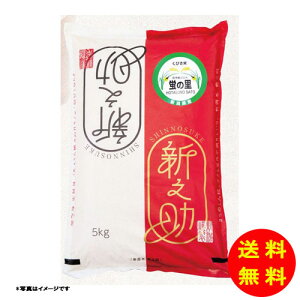 Ε u̗ VV 5kg yz y kCEEk ʓrZz [Ε Ε Mtg 蕨 v[g  Ԃ ]