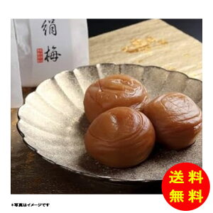 Ε uЂƎ̌~v12 iAJVAI~j OK-E12 yz y kCEEk ʓrZz [Ε Ε Mtg 蕨 v[g  Ԃ ]