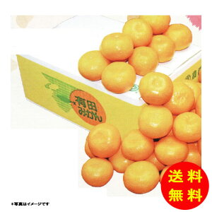 Ε ׂ񂪂ʂLc݂ yz y kCEEk ʓrZz [Ε Ε Mtg 蕨 v[g  Ԃ ]