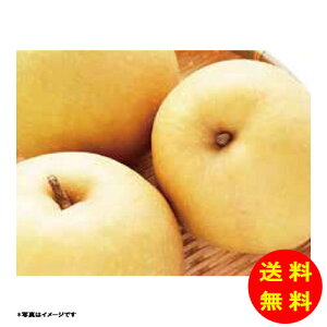 Ε 挧Y H 3D5kg AF-ON3.5kg yz y kCEEk ʓrZz [Ε Ε Mtg 蕨 v[g  Ԃ ]