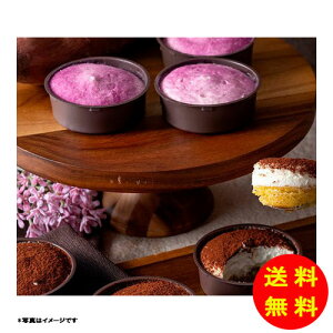 Ε F{ Fƃ`[Y2w̃P[L SIA-01A yⓀz yz y kCEEk ʓrZz [Ε Ε Mtg 蕨 v[g  Ԃ ]