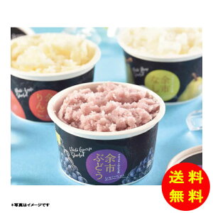 Ε kC ]st[cV[xbg yⓀz yz y kCEEk ʓrZz [Ε Ε Mtg 蕨 v[g  Ԃ ]