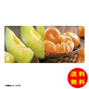 Ε _Cʉ &݂l퉷 MAM-60RW y kCEEk ʓrZz