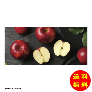 Ε _Cʉ XY 񂲏퉷 AFR-65RW y kCEEk ʓrZz