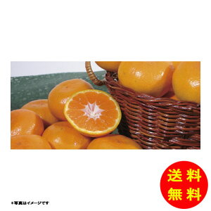 Ε _Cʉ a̎RY cM݂퉷 TMM-50RW y kCEEk ʓrZz