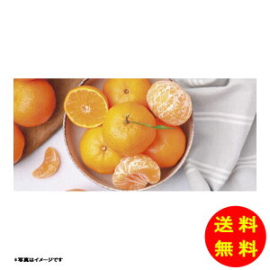 Ε _Cʉ a̎RY Lc݂퉷 AM-50RW y kCEEk ʓrZz