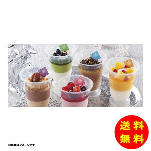 Ε   WF GMXL[ XC[cATuⓀ YF-FP12 y kCEEk ʓrZz