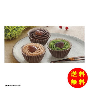 Ε s {V aȈĂu퉷 YJ-SCM12 y kCEEk ʓrZz