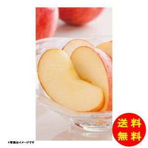 Ε XY ㊮nTӂ񂲏퉷 H-A4S y kCEEk ʓrZz