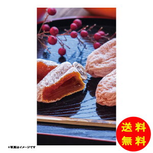 Ε 쌧Y sc`퉷 YO-567 y kCEEk ʓrZz