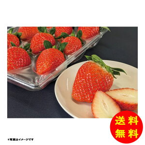 Ε  Y Hה׃Mtg① F15-65 y kCEEk ʓrZz