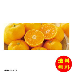 Ε ÉY OP݂퉷 YO-430 y kCEEk ʓrZz