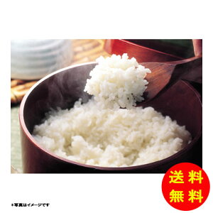 Ε gy ቷ@ Xn YЂʍ͔|āif[Uj퉷 150145 y kCEEk ʓrZz