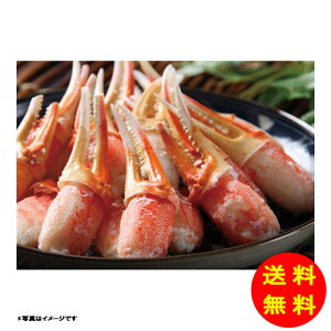 Ε {C킢ɒܗⓀ 430304 y kCEEk ʓrZz