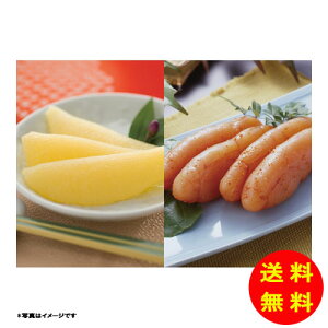 Ε hqqE̎ql① AJI-KA-15 y kCEEk ʓrZz