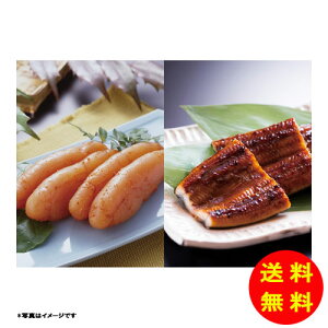 Ε Ȃ&hqqZbgⓀ AJI-MA-15 y kCEEk ʓrZz