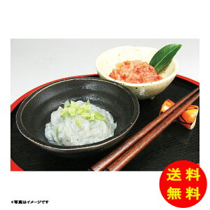 Ε n x͘pсER炷ЃZbgⓀ 010362 y kCEEk ʓrZz