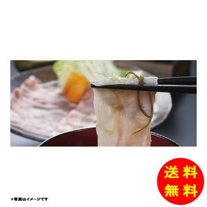 Ε cq {̕Ĉ炿ؓ؃[XEoԂԃMtgⓀ LO-KS01 y kCEEk ʓrZz