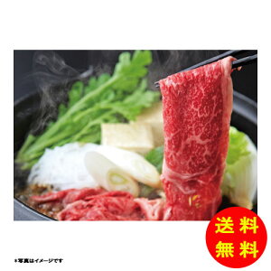 Ε {Y ĂpⓀ 2047006040 y kCEEk ʓrZz