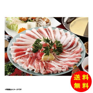 Ε Y ؁ȕv [XԂԗpⓀ FP-SY25-SW002 y kCEEk ʓrZz