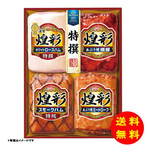 Ε ۑHi ʃMtg4{l① KK-504 y kCEEk ʓrZz