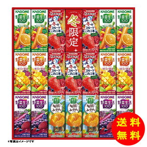 Ε JS ₩EB^[oGeBMtg퉷 KYJ-30W y kCEEk ʓrZz