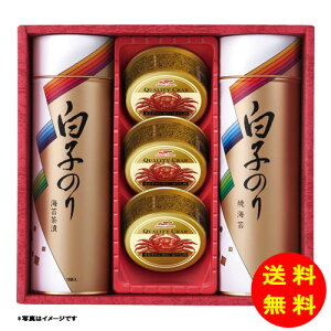 Ε q̂ CہEɊʋl퉷 SN-400 y kCEEk ʓrZz