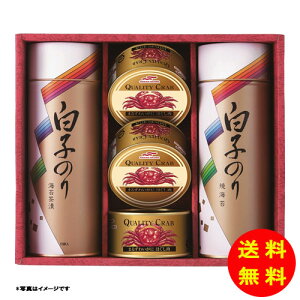 Ε q̂ CہEɊʋl퉷 SN-600 y kCEEk ʓrZz