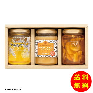 Ε Rc{I }kJEIE݂͂ЃZbg퉷 M5HK-50 y kCEEk ʓrZz