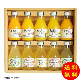 御歳暮 伊藤農園 100%ピュアジュース&素朴ドリンクセット常温 V-052 【送料無料 北海道・沖縄・東北 別途加算】