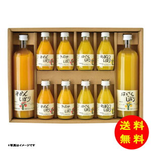 Ε ɓ_ 100%sAW[XMtgZbg퉷 V-064N y kCEEk ʓrZz