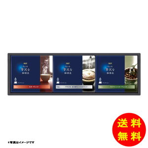 Ε AGF ґX hbvR[q[Mtg퉷 ZD-15A y kCEEk ʓrZz