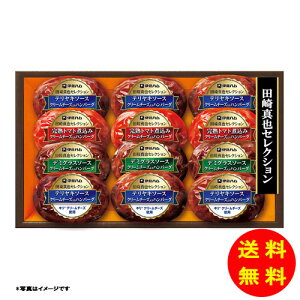 Ε c^ZNV CH-31yⓀz ɓn yS [J[z [Ε Ε Mtg 蕨 Zbg]