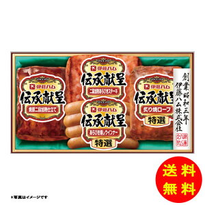 Ε `V[Y GM-300y①z ɓn yS [J[z [Ε Ε Mtg 蕨 Zbg]